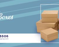 kraft cardboard packaging boxes